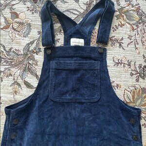 American Eagle Jumper Dress